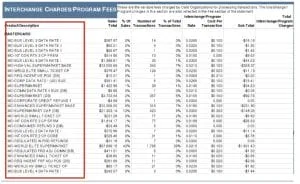 Interchange plus credit card processing statement